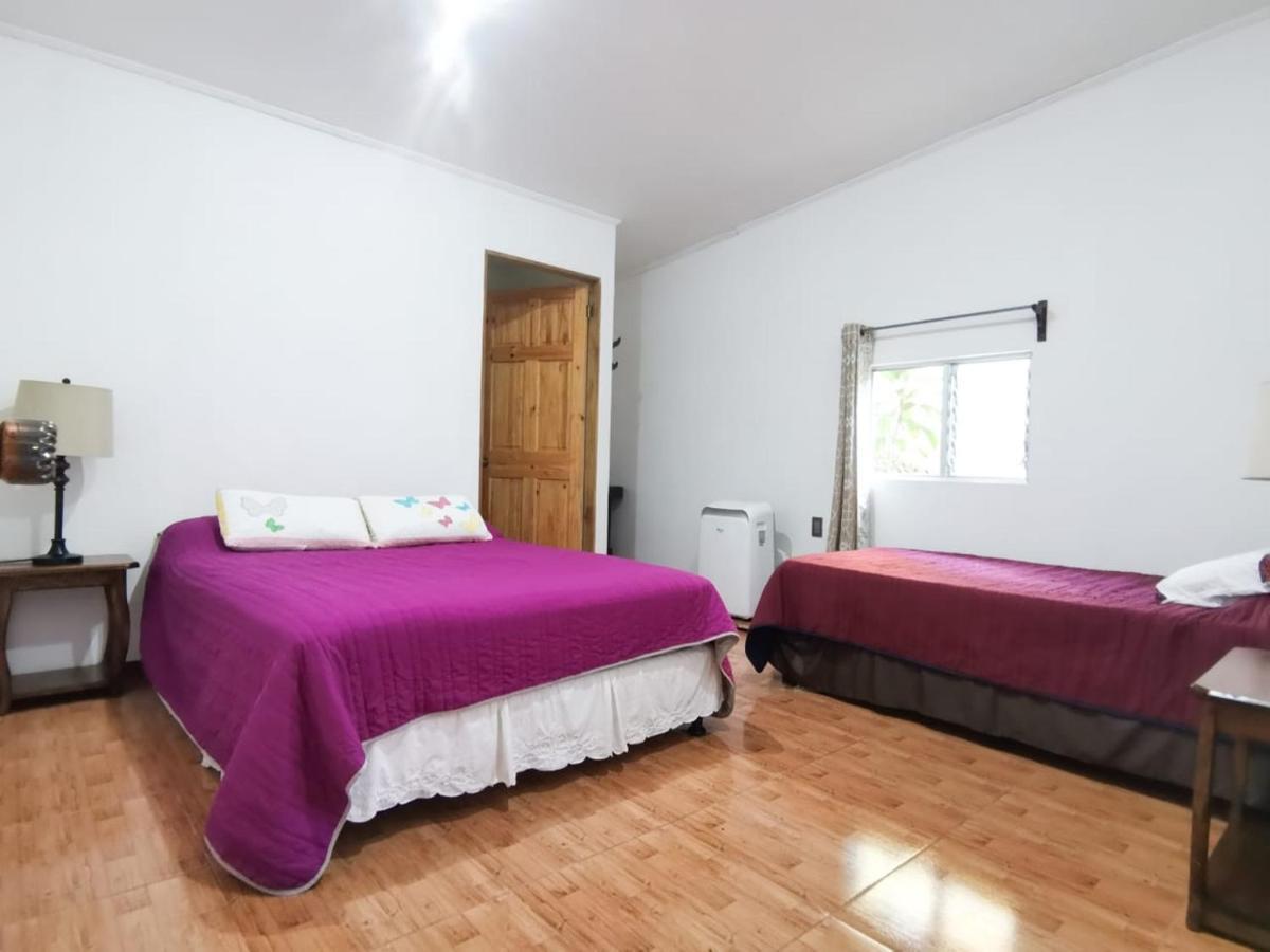 Casita Happy Feet And Tours Corcovado Hotell Drakes Bay Exteriör bild